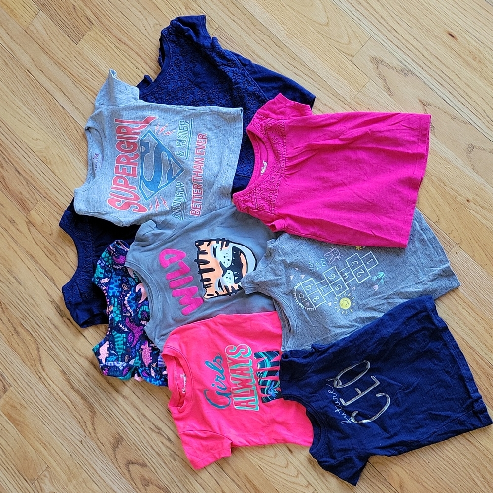 Toddler Girls Top Bundle (12 pieces) 2T